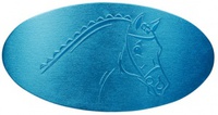 Сувениры Заколка для волос алюминий HappyRoss голубая сталь
