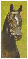 Сувениры Платочки с рисунком Peli "Лошади" ассотримент